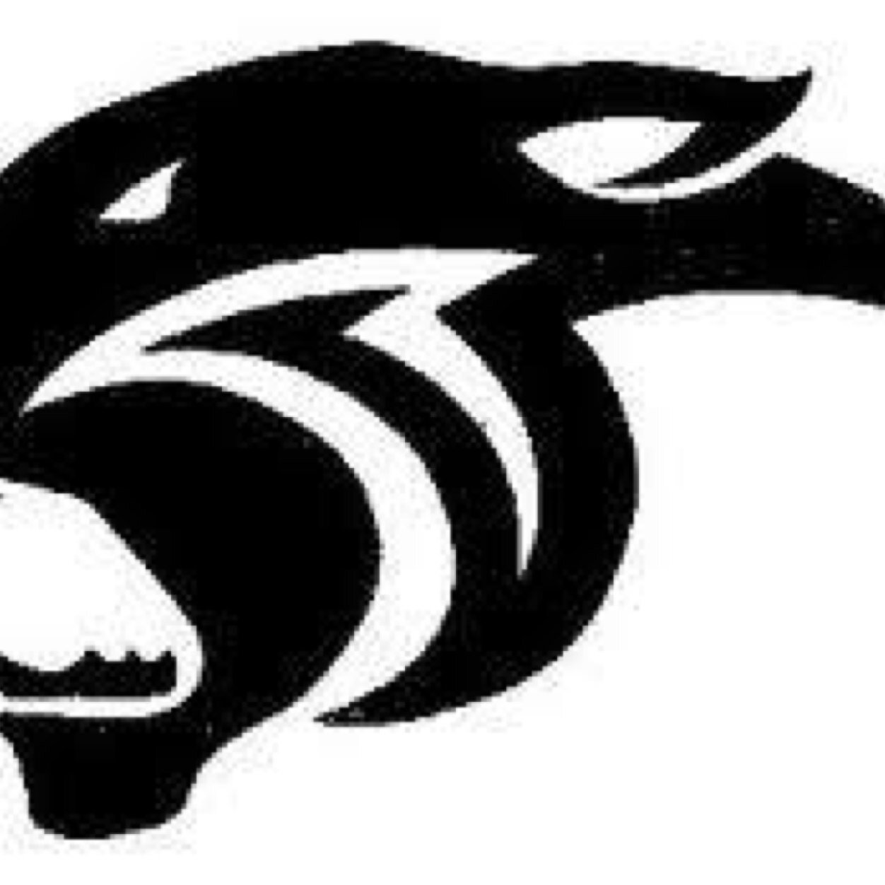 BuxMont Panthers is part of the American Youth Football league, owned by Under Armour. We offer football, cheer and dance.