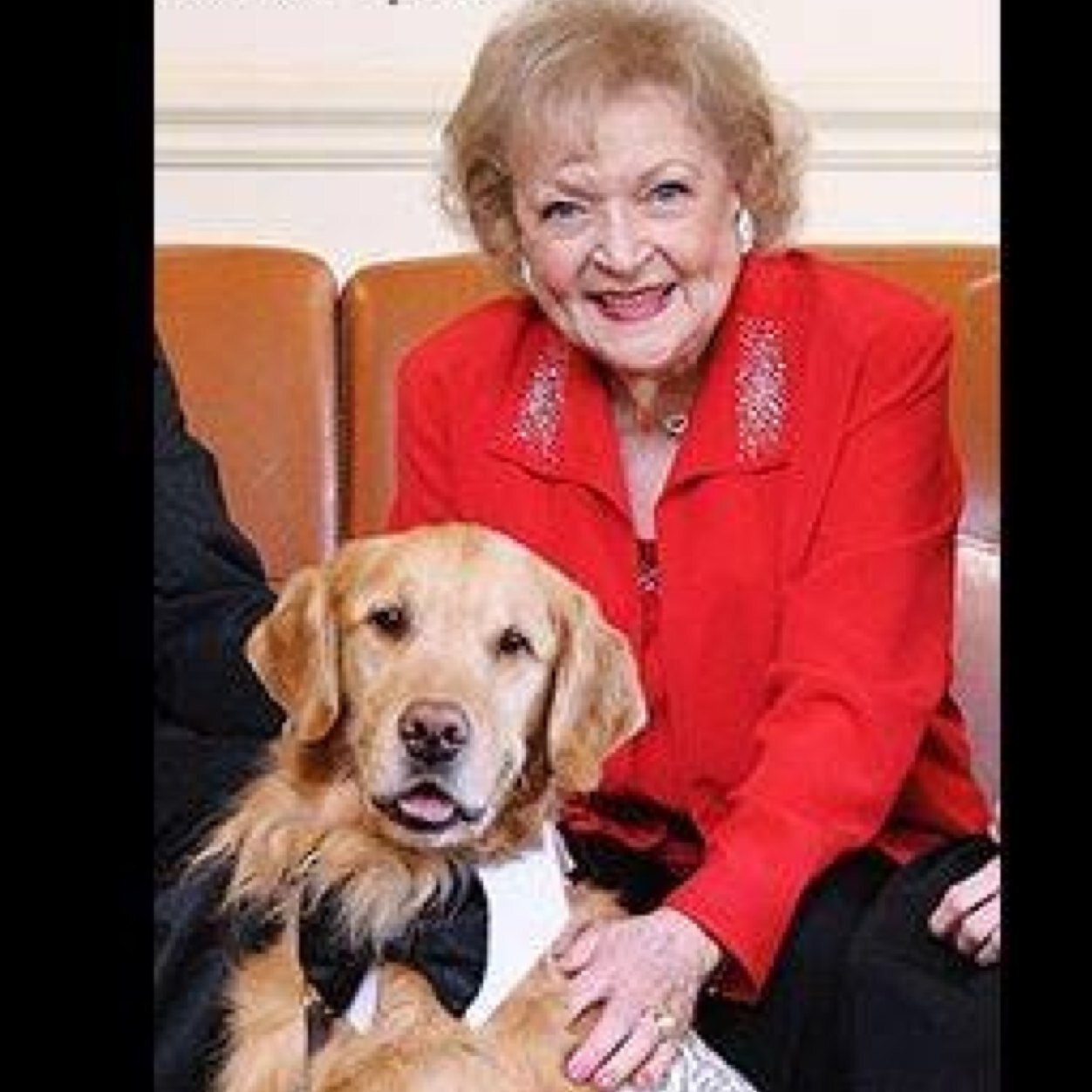 A professional doggy model & animal actor, registered therapy dog, and cancer awareness advocate. Fighting for a cure!