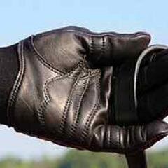 previously owned Technology Products Inc distributing Bionic Equine Gloves. Previously- Louisville Slugger 23 years in credit, finance and Treasury.
