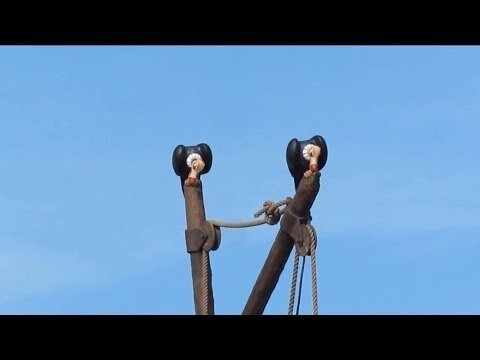 7DMTVultures's profile picture. Watching and Waiting Observations of Park happenings from our perch, the serious and the silly.