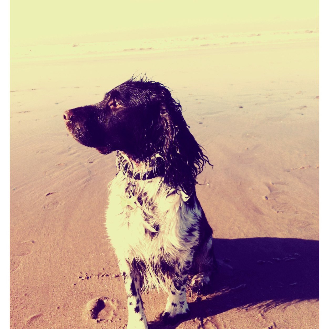 natasha_lol_xx's profile picture. 