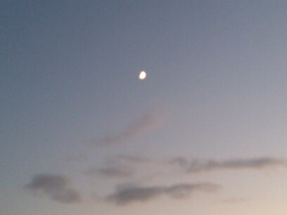 orange_flower_1's profile picture. 毎日ほっこり過ごしたい。空と猫が好き。