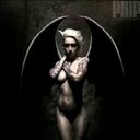 Andy Najera - @1d72a888375f471 - Twitter