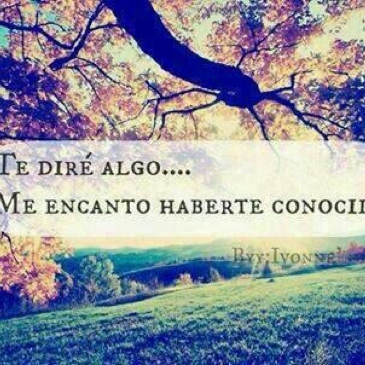 TuYoenny's profile picture. @TuYoenny: K & Y 02/01/2014  enamorado de ella te amo (K & Y 02/01/2014  love with her I love you
@LalokillaM http://t.co/ucjOdaTVjs