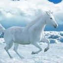 youmna (@027768676) Twitter