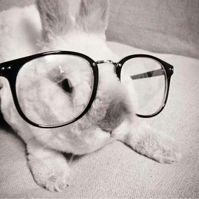 katang2000's profile picture. 