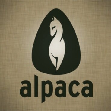 AlpacaGuitar's profile picture. The Ultimate Adventure Guitar