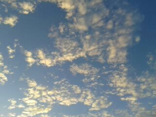 cognitivegrowth's profile picture. 