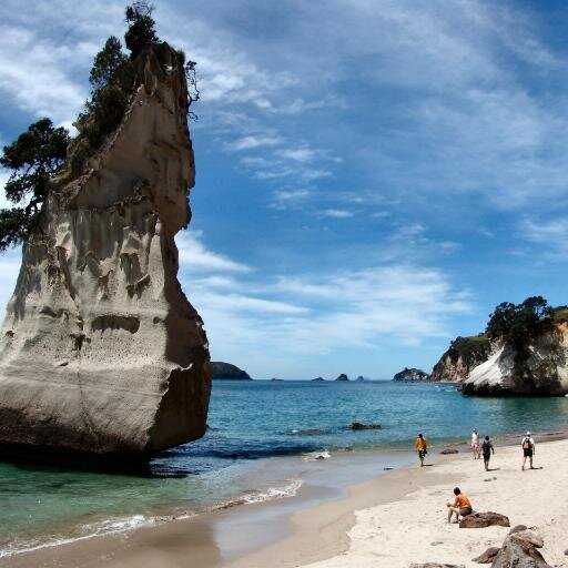 [ New Zealand News ]