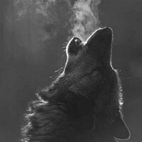 BigBaddWolf (@gdogg469) 's Twitter Profile