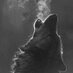 BigBaddWolf (@gdogg469) Twitter profile photo