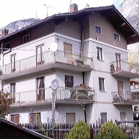 MelingoFond's profile picture. 