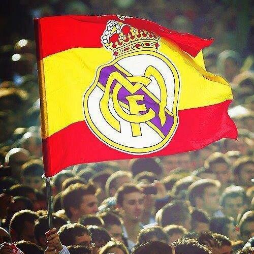 endritboygashi's profile picture. 