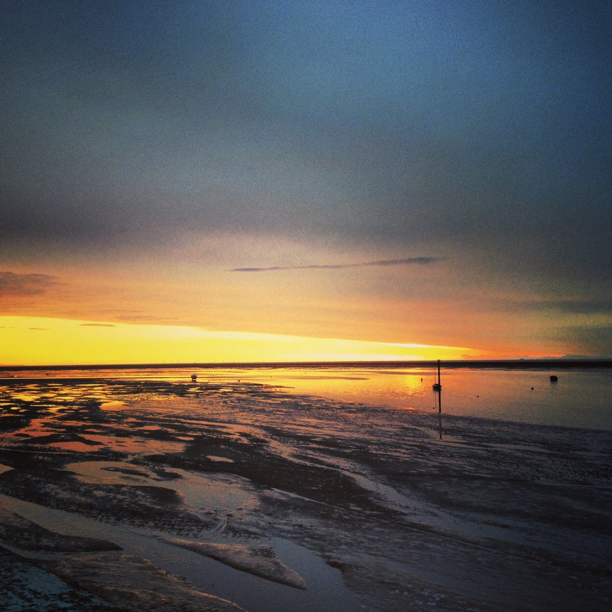 MaddyNeds's profile picture. ball like jordan play full court