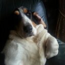 Wayne Costello - @costello_wayne - Twitter