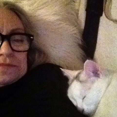 DireenatHome's profile picture. HGTV Design Consultant at Bassett Home Furnishings