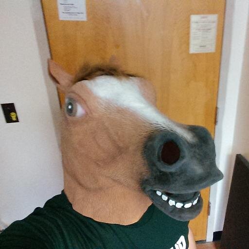 Equine student at MSU | Snapchat: newtonthehorse