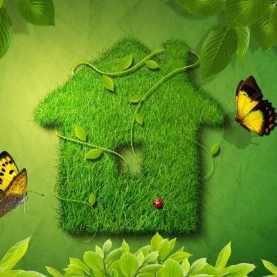 mirdomamoego's profile picture. #followback