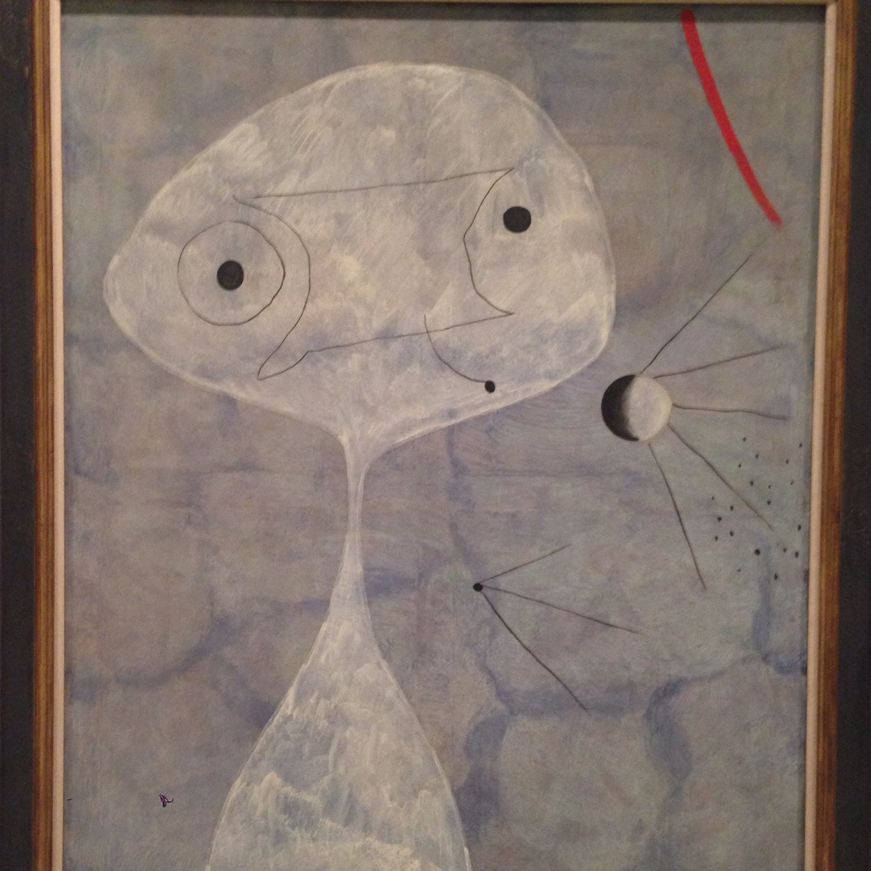 mmadaco's profile picture. 