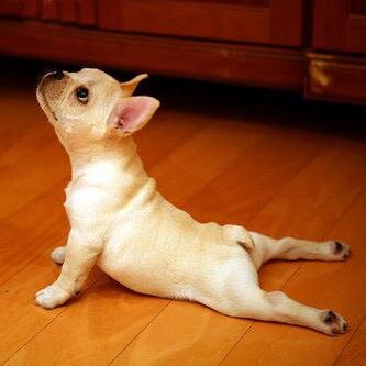 AdrianAdonisJr's profile picture. Writer, Teacher, Luddite. LA face with an Oakland booty.