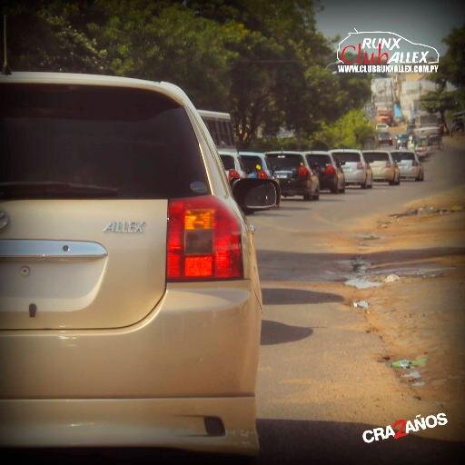 Nuestra misión, formar una gran familia, no solo por nuestros hermosos Runx/Allex, sino de amigos y seguidores del club.