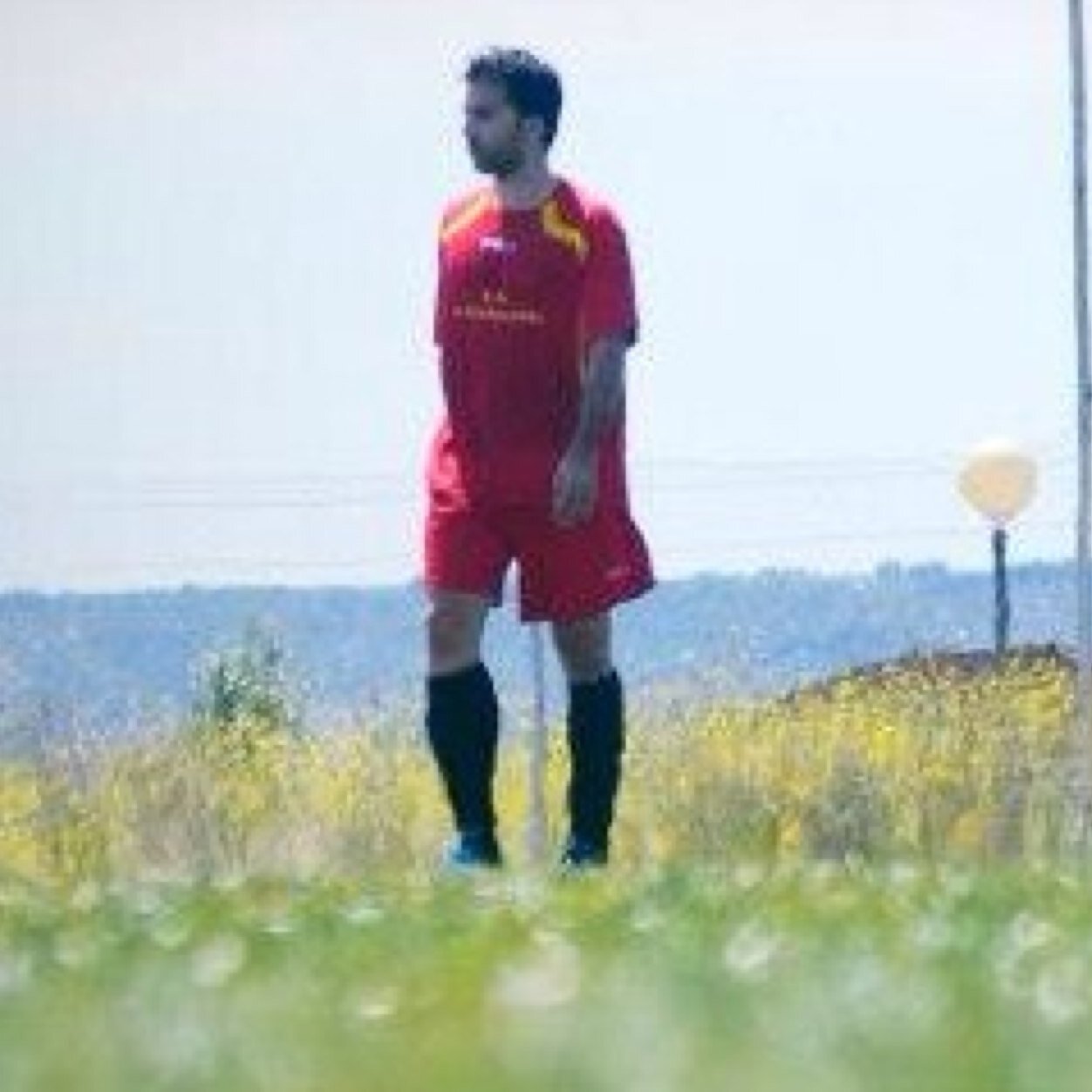 alvarocerralbos's profile picture. maestro de educación física en CLM, aprendo cada día, de mis compañeros y de mi alumnado. Seguidor del Getafe CF y del Real Madrid.