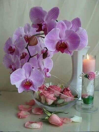 b8f7dd88abf642b's profile picture. 