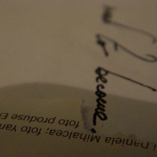 PaperJune's profile picture. 