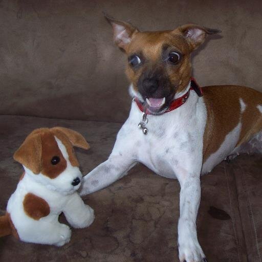 Boxbot5's profile picture. I write it, you read it. You owe me £10