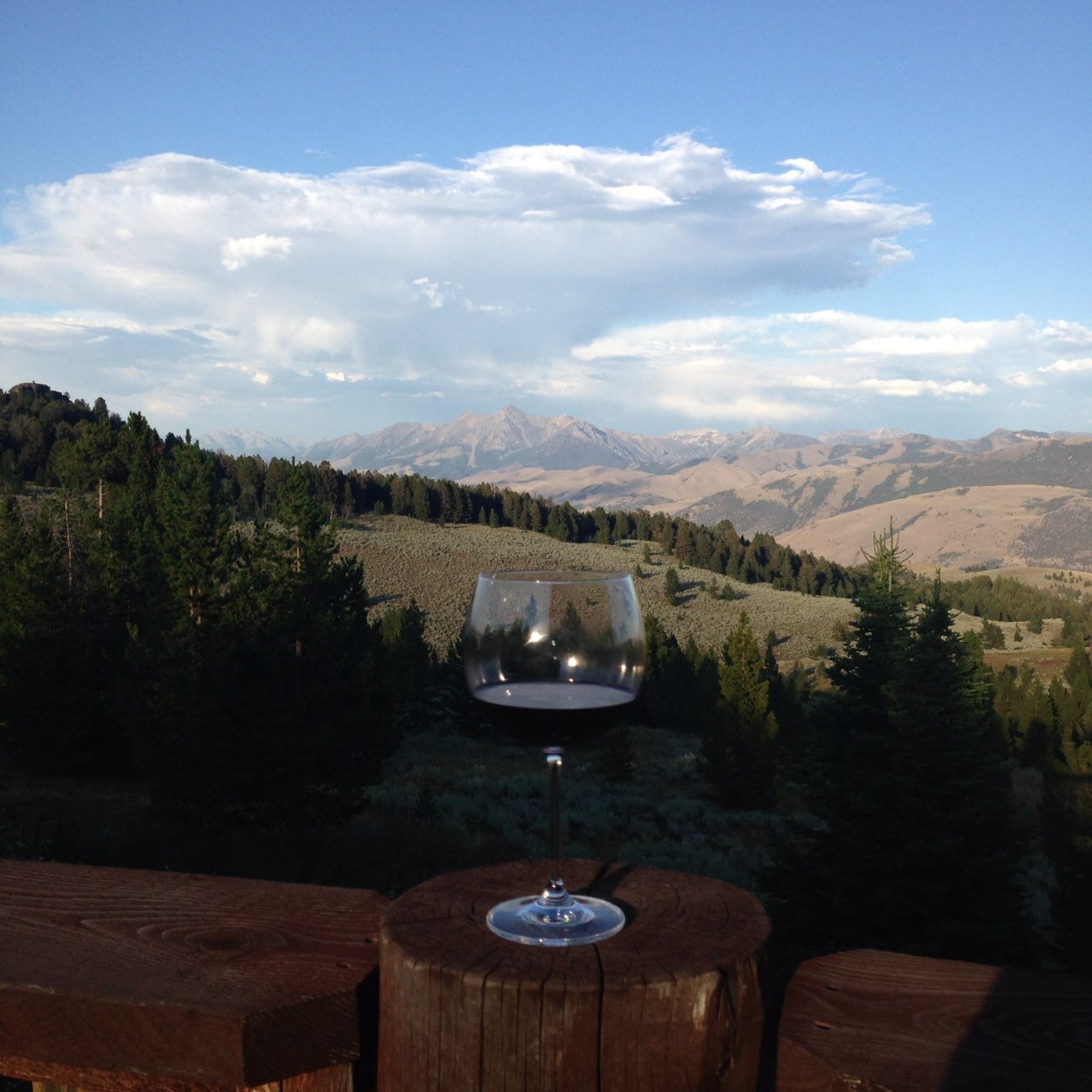 BSchalitz's profile picture. 