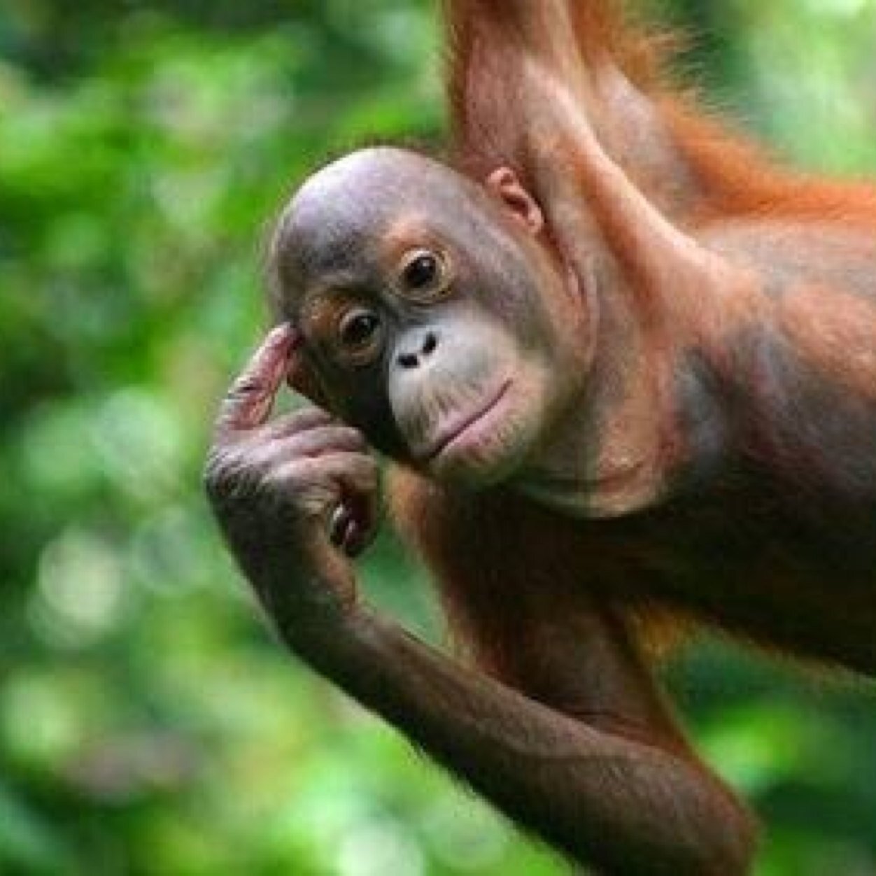 cha_cka's profile picture. 