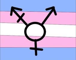 A transguy trying to survive the day to day problems of a transguy  Chicago