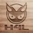 H4Lcricket's profile image