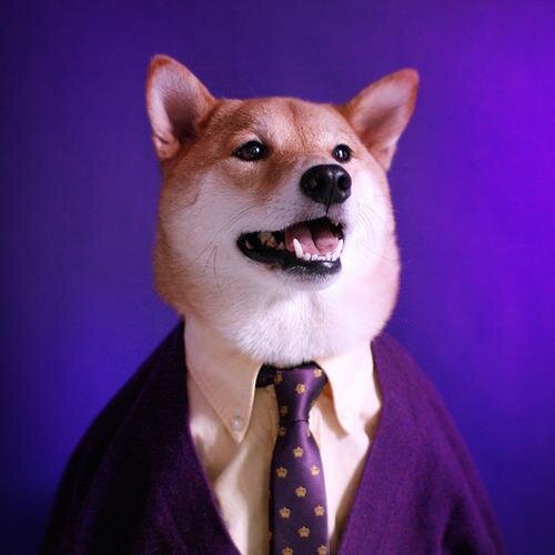 Dogecoin & Bitcoin News, Information, and Resources. http://t.co/fcZyUoMxGS
