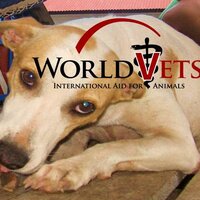 World Vets (@worldvets) 's Twitter Profile