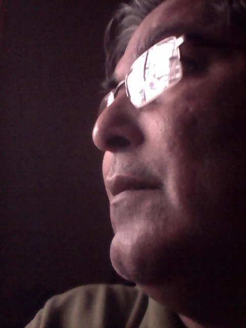 Business, Photography, Graphic designing, Social Activity