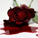 cameron hannah - @thecastaway98 - Twitter