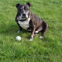 Carla Bennett - @CarlaCbennett - Twitter