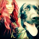 Tracy Taylor - @theTracyTaylor - Twitter