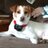 Shellyd16's profile image