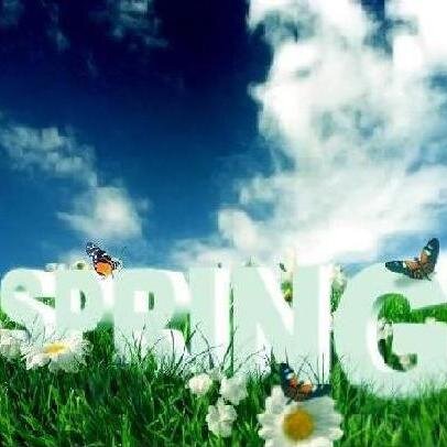 Saw spring - means, in private life any changes - positive and long-awaited approach. Such dream