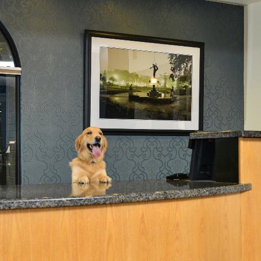 StCharlesInn's profile picture. This charming New Orleans Garden District hotel is a short streetcar ride from the French Quarter, Audubon Zoo,  Tulane University, and Loyola University.