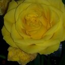 Dawn - @DawnCrocker1958 - Twitter