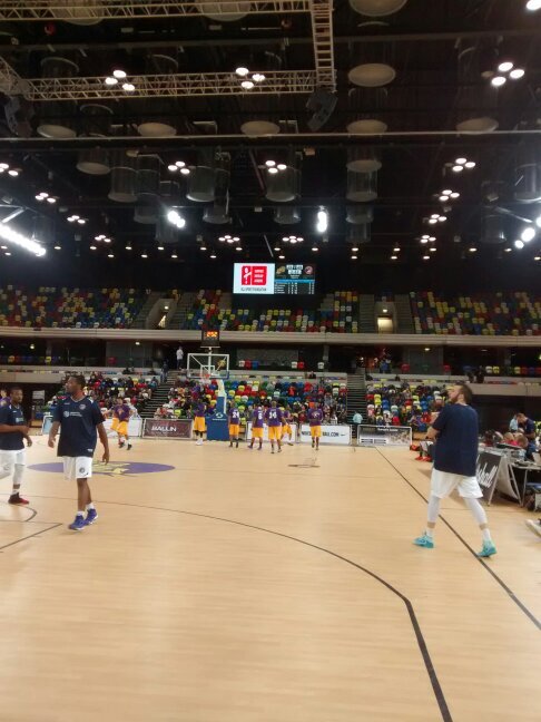 thelionwithamop's profile picture. 