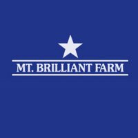 Mt. Brilliant Farm(@mtbrilliant) 's Twitter Profile Photo