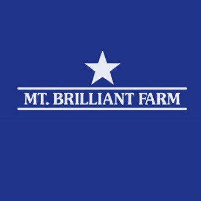 Mt Brilliant Farm Mtbrilliant Twitter