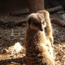 robert walpole - @robwalpole22 - Twitter