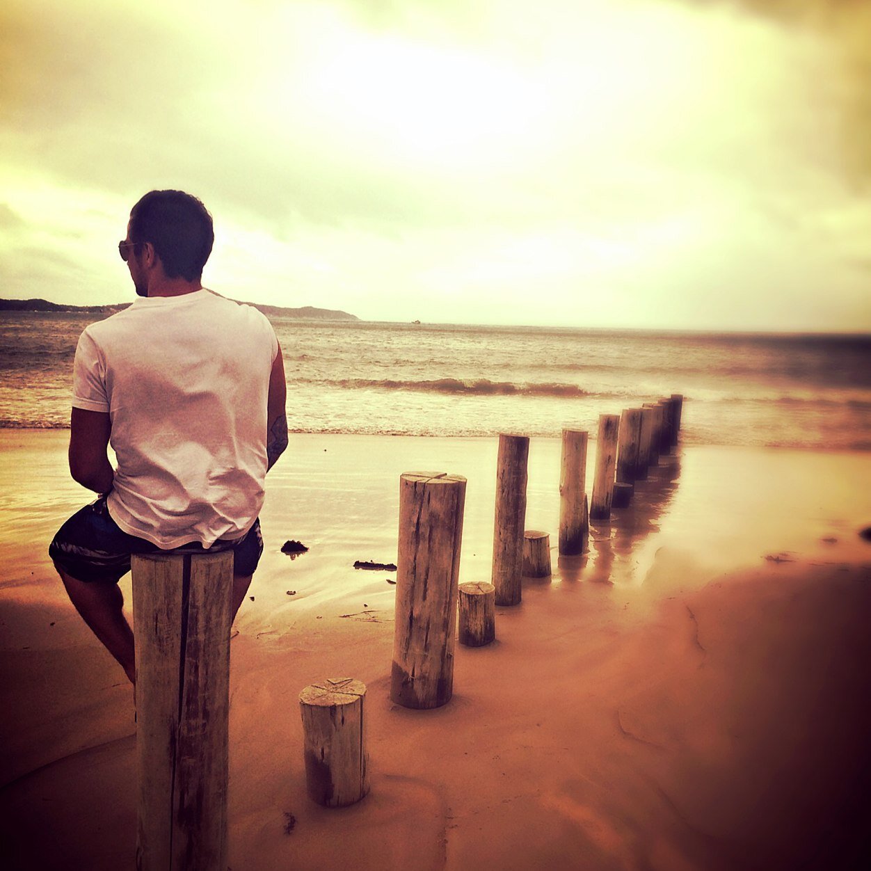 javifernandoOK Profile Picture