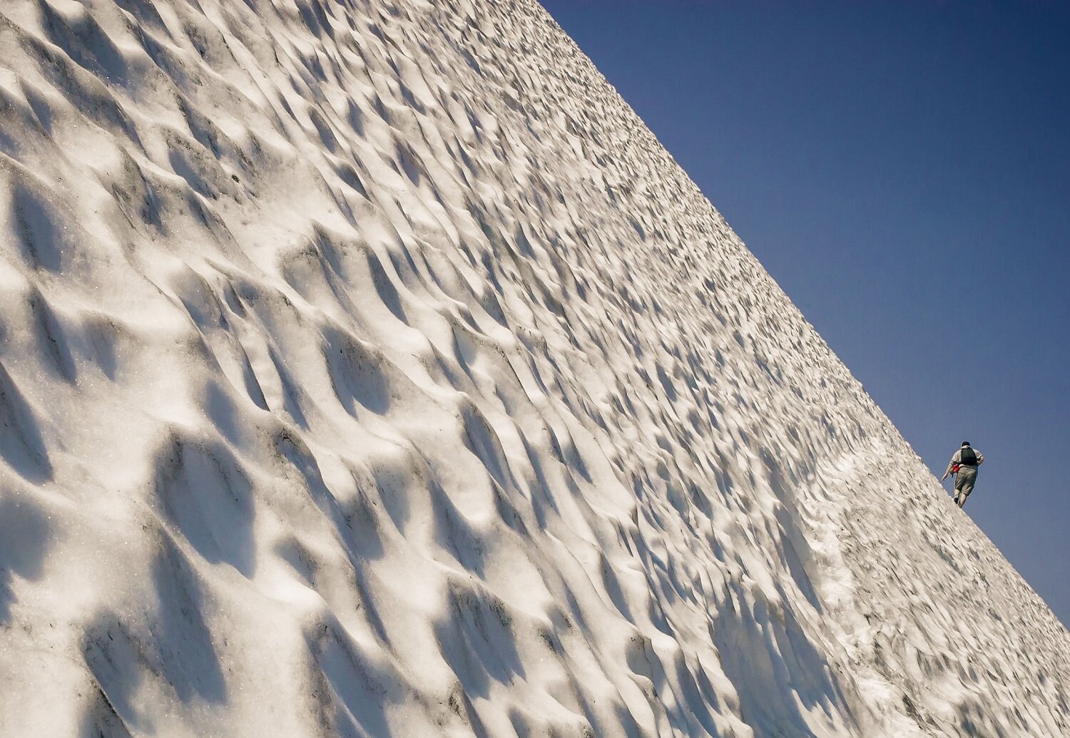 lamppost118's profile picture. Voracious Reader, Minimalist, Christian