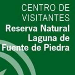 En el C.V. José Antonio Valverde encontrarás toda la información sobre la Reserva Natural Laguna de Fuente de Piedra y la oferta de equipamientos de uso público